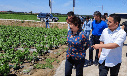 润农节水 润农节水